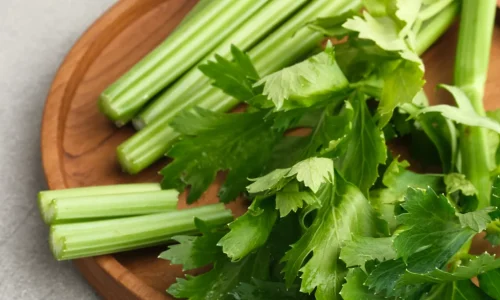 Beneficios del apio para la salud